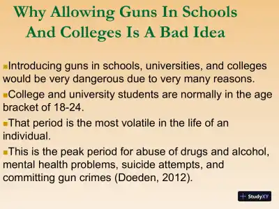 Gun Rights - Page 5 preview image