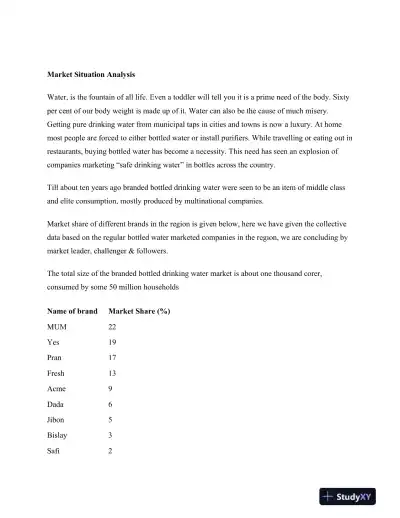 The Waters Bottling Company (WBC) of Munsonville, NH � Marketing Plan - Page 4 preview image