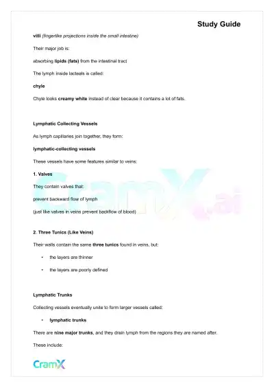 Anatomy and Physiology - The Lymphatic System - Page 3 preview image