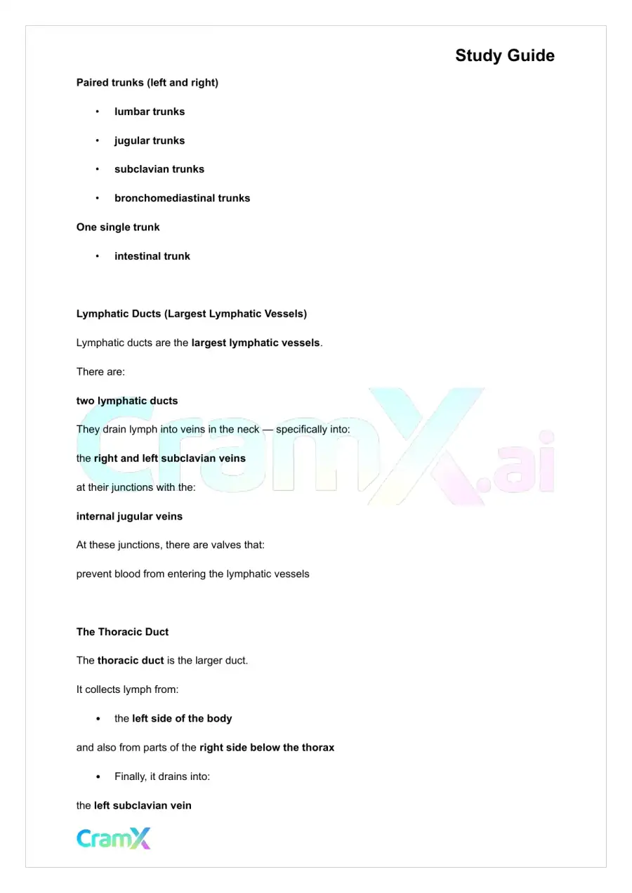 Anatomy and Physiology - The Lymphatic System, page 4