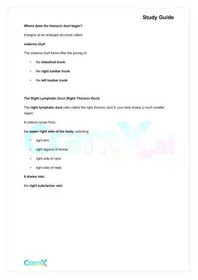 Anatomy and Physiology - The Lymphatic System - Page 5 preview image