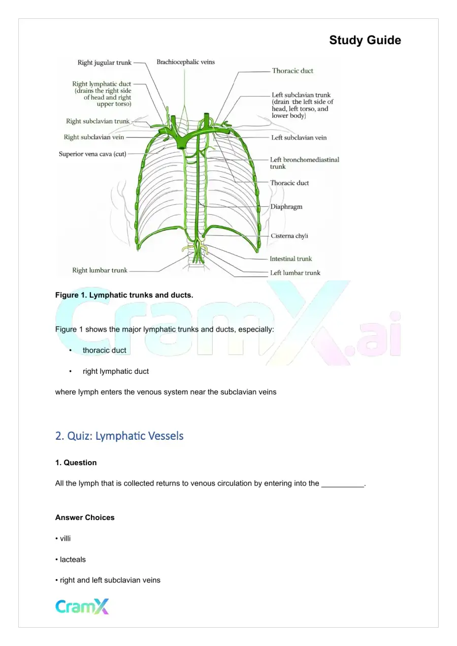 Anatomy and Physiology - The Lymphatic System, page 6