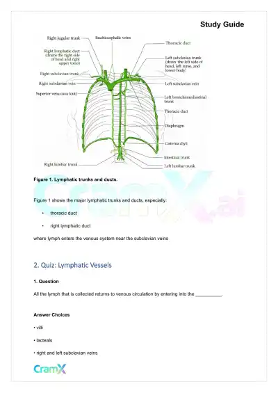 Anatomy and Physiology - The Lymphatic System - Page 6 preview image