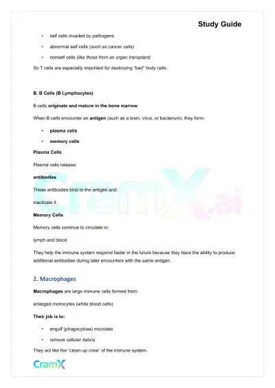 Anatomy and Physiology - The Lymphatic System - Page 8 preview image