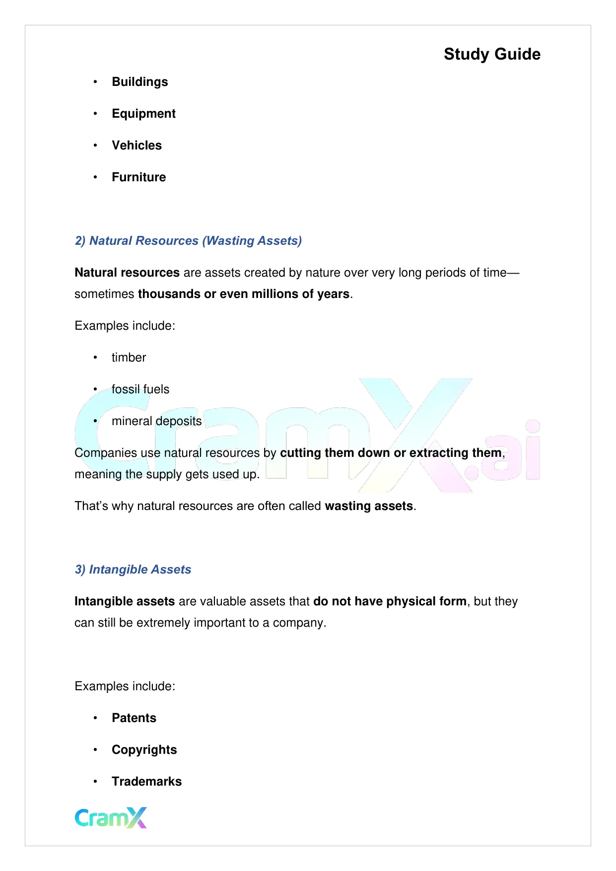 Accounting Principles I – Operating Assets - Page 2 preview image