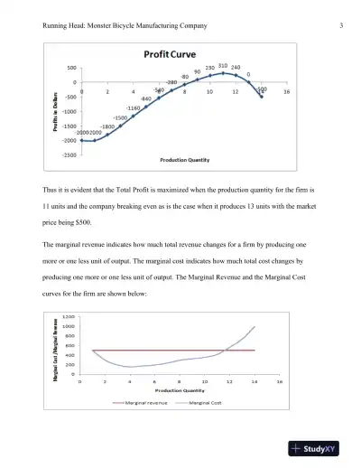 Production Decisions and Profit Maximization for Monster Bicycle Manufacturing Company in Perfectly Competitive Market Conditions - Page 4 preview image