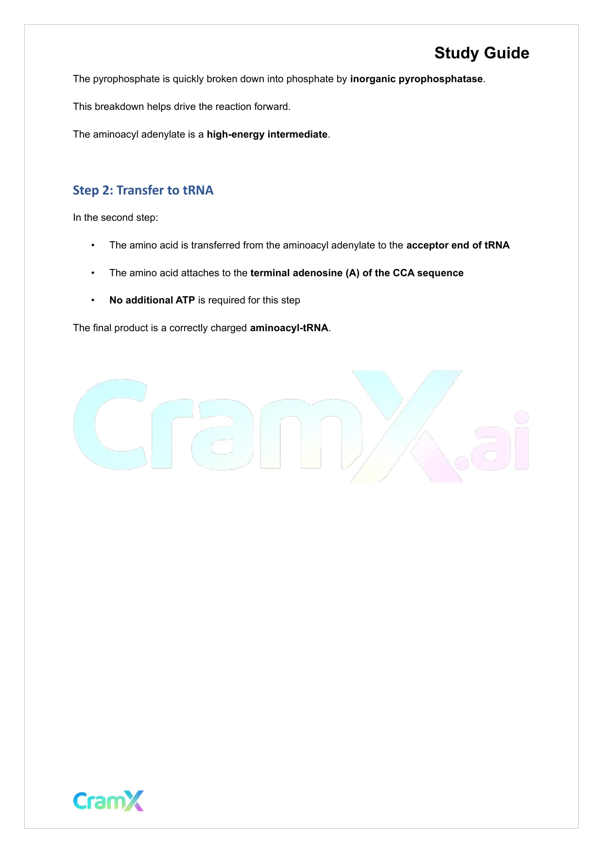 Biochemistry-II - Protein Synthesis - Page 2 preview image