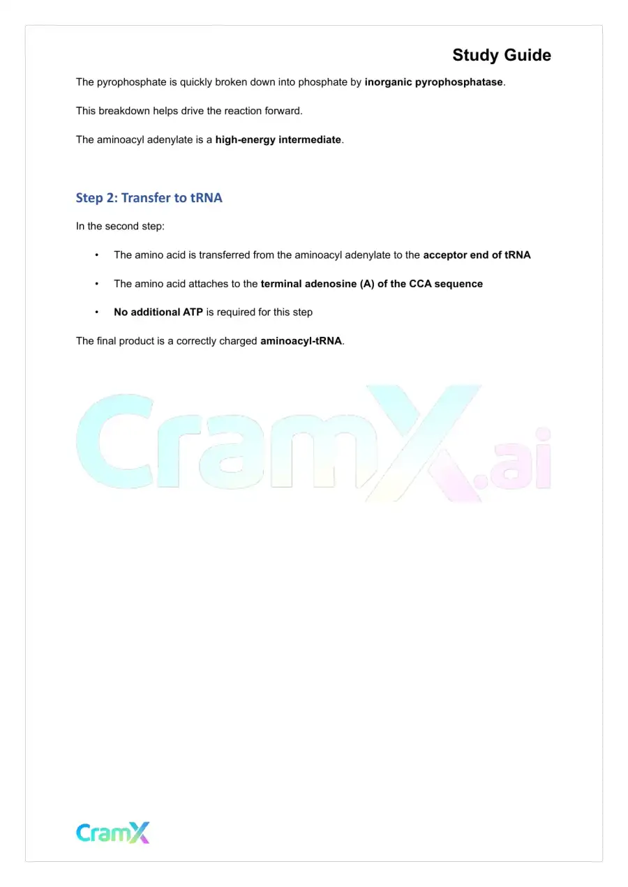 Biochemistry-II - Protein Synthesis, page 2