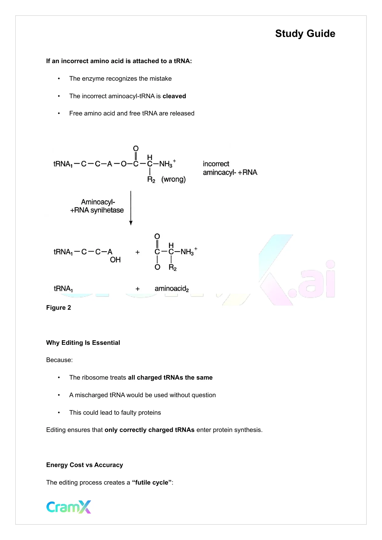 Biochemistry-II - Protein Synthesis - Page 4 preview image