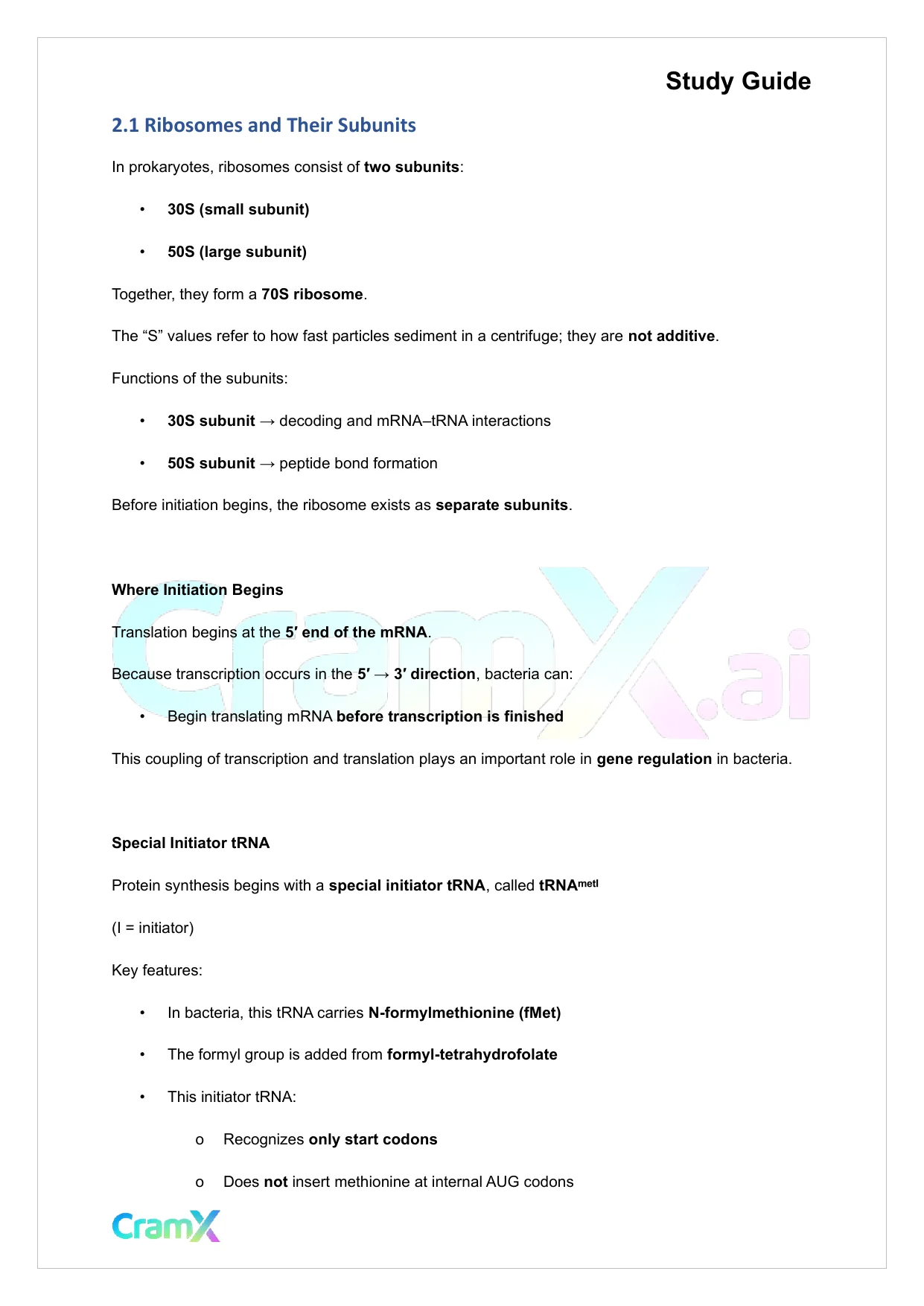 Biochemistry-II - Protein Synthesis - Page 6 preview image