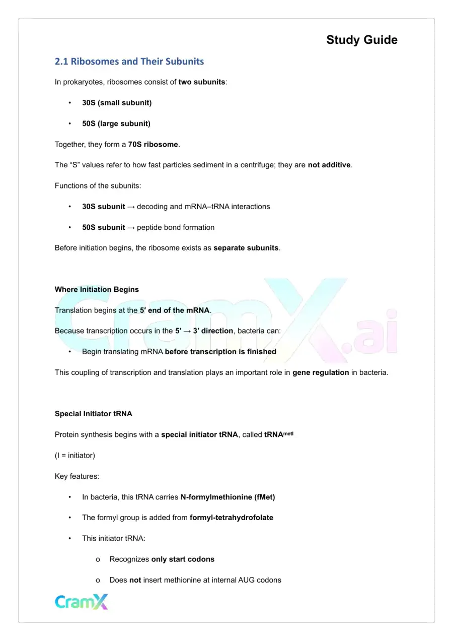 Biochemistry-II - Protein Synthesis, page 6