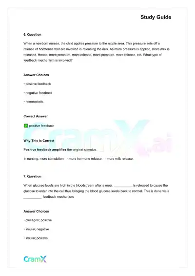 Anatomy and Physiology - Anatomy and Chemistry Basics - Page 4 preview image