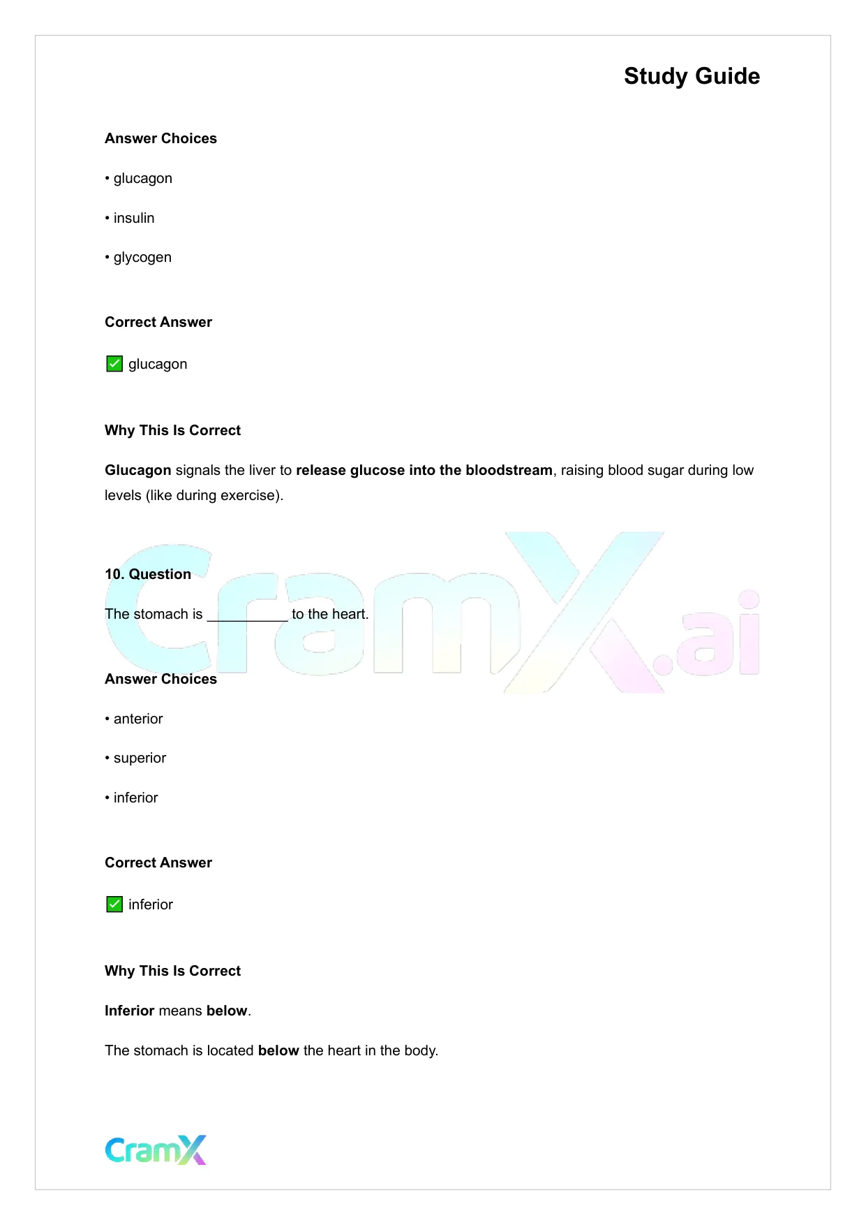 Anatomy and Physiology - Anatomy and Chemistry Basics - Page 6 preview image