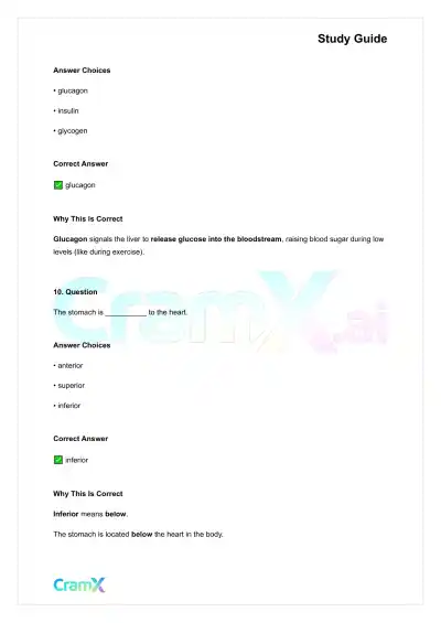 Anatomy and Physiology - Anatomy and Chemistry Basics - Page 6 preview image