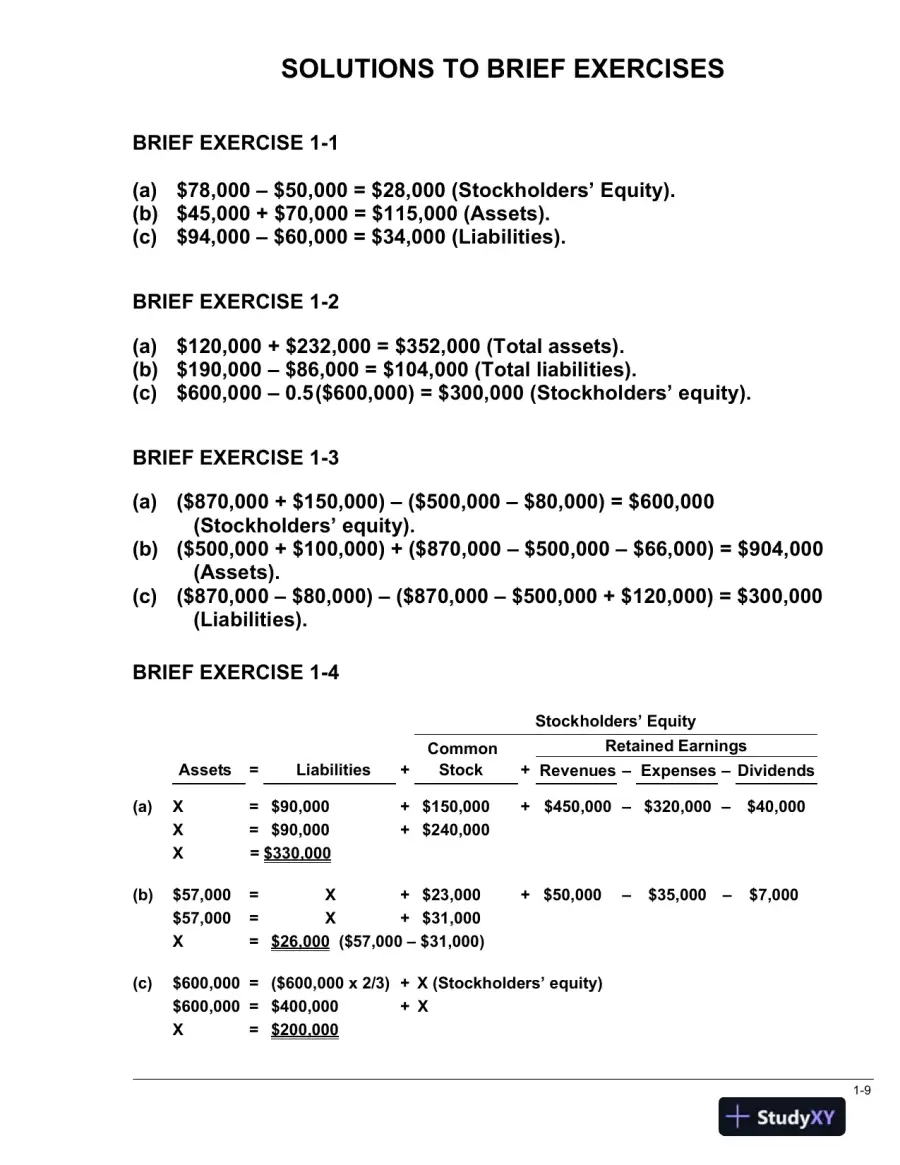 Solution Manual for Financial Accounting, 3rd Edition, page 13