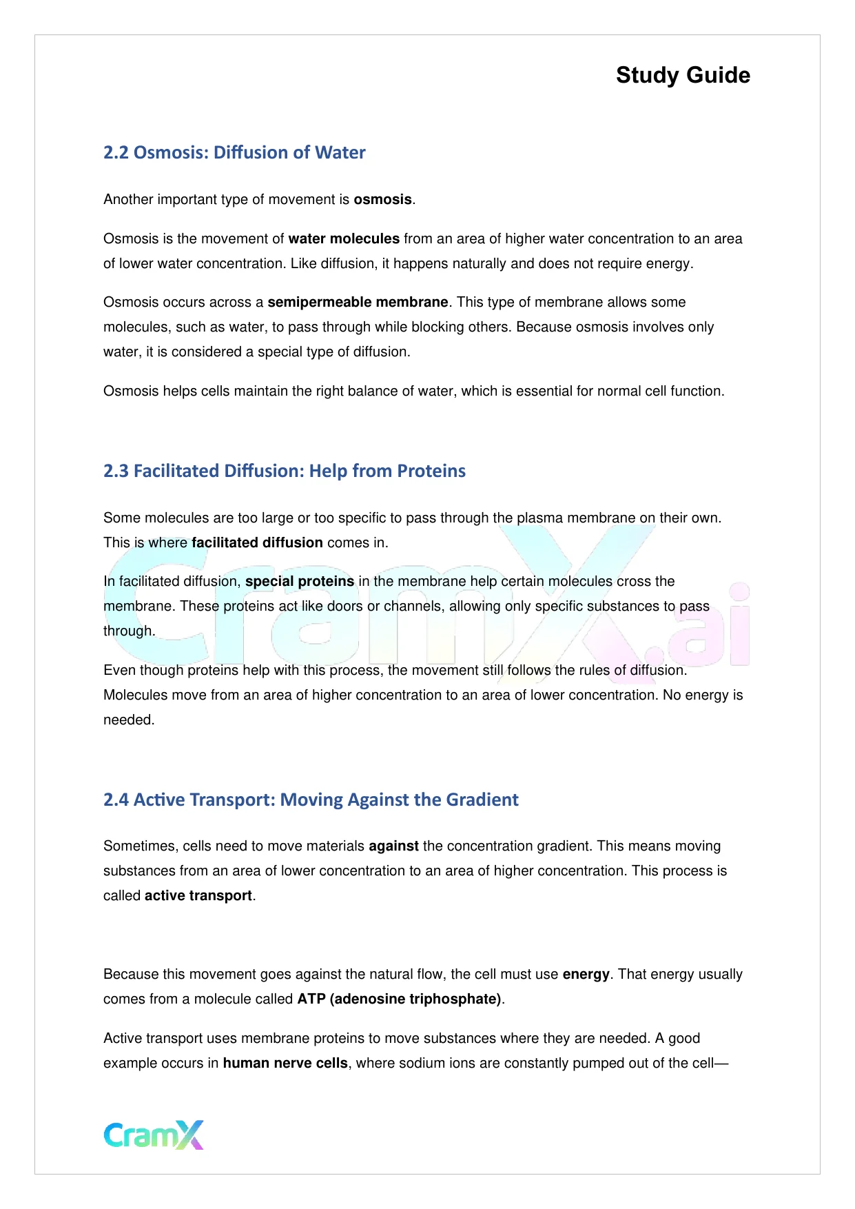 Biology - The Biology of Cells - Page 3 preview image