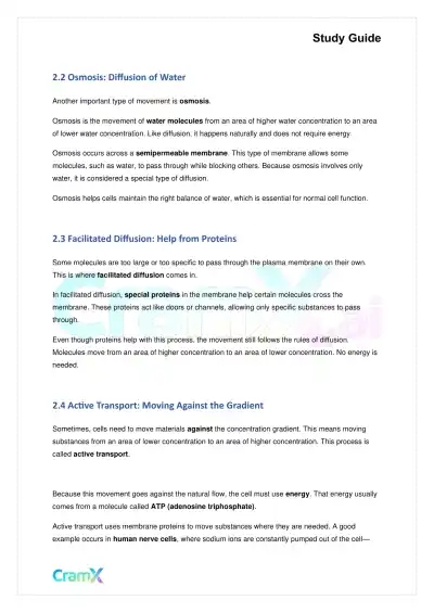 Biology - The Biology of Cells - Page 3 preview image