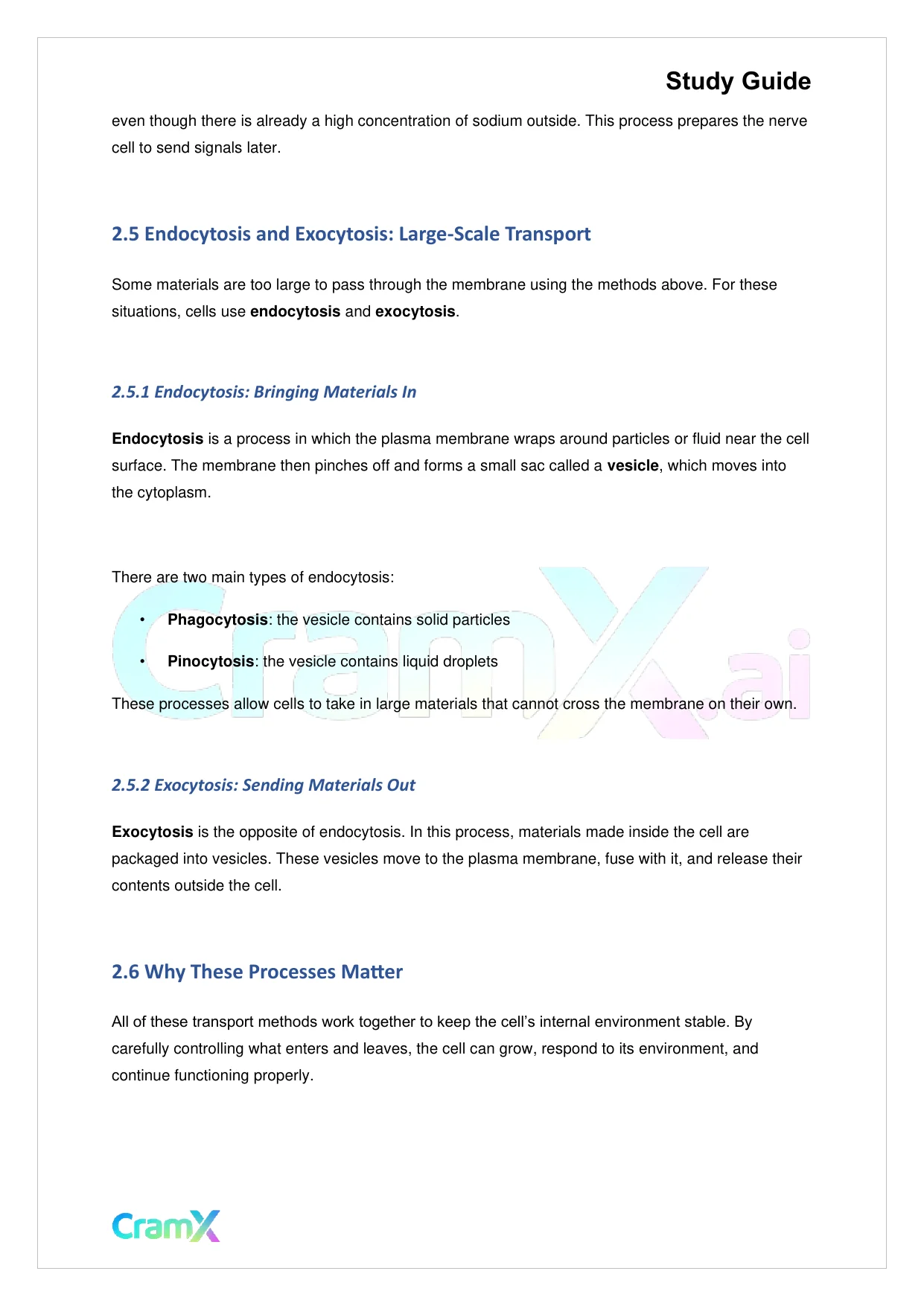 Biology - The Biology of Cells - Page 4 preview image