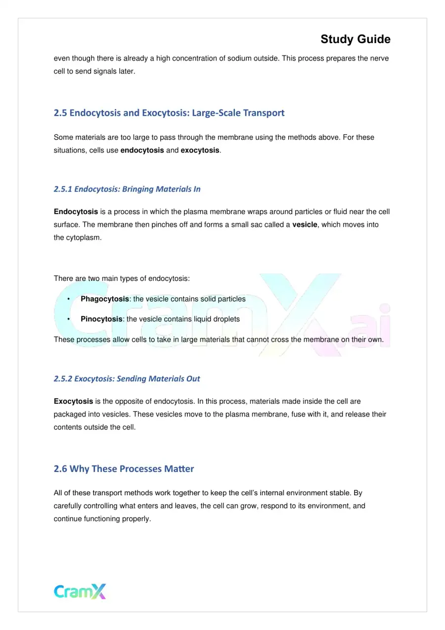 Biology - The Biology of Cells, page 4