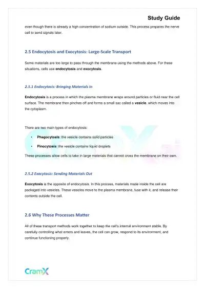 Biology - The Biology of Cells - Page 4 preview image