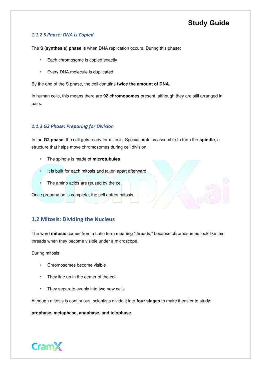 Biology - Mitosis and Cell Reproduction, page 2