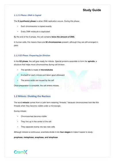 Biology - Mitosis and Cell Reproduction - Page 2 preview image