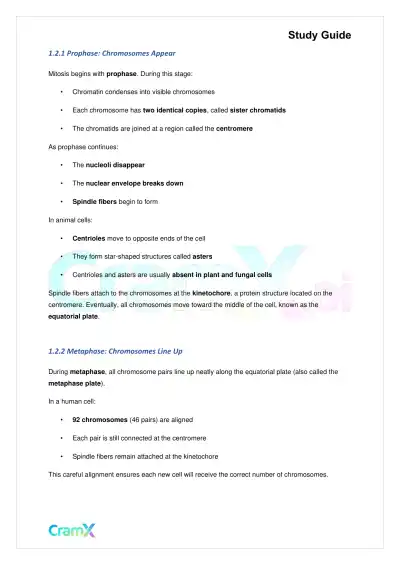 Biology - Mitosis and Cell Reproduction - Page 3 preview image