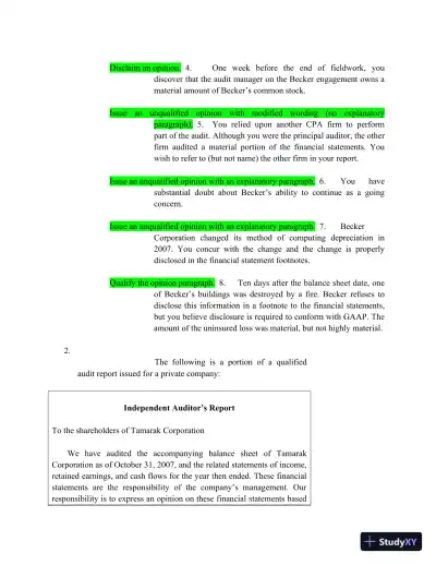 ACC 209 Auditing Exam 1 1 - Page 3 preview image