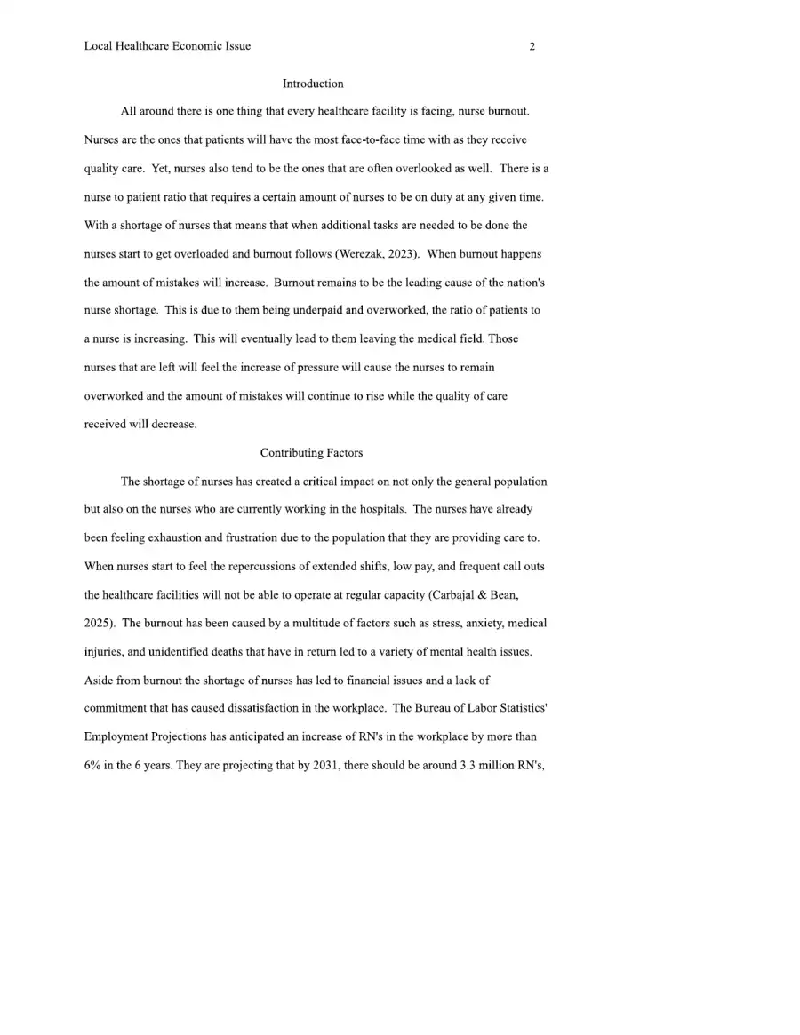 Identifying a Local Healthcare Economic Issue, page 2