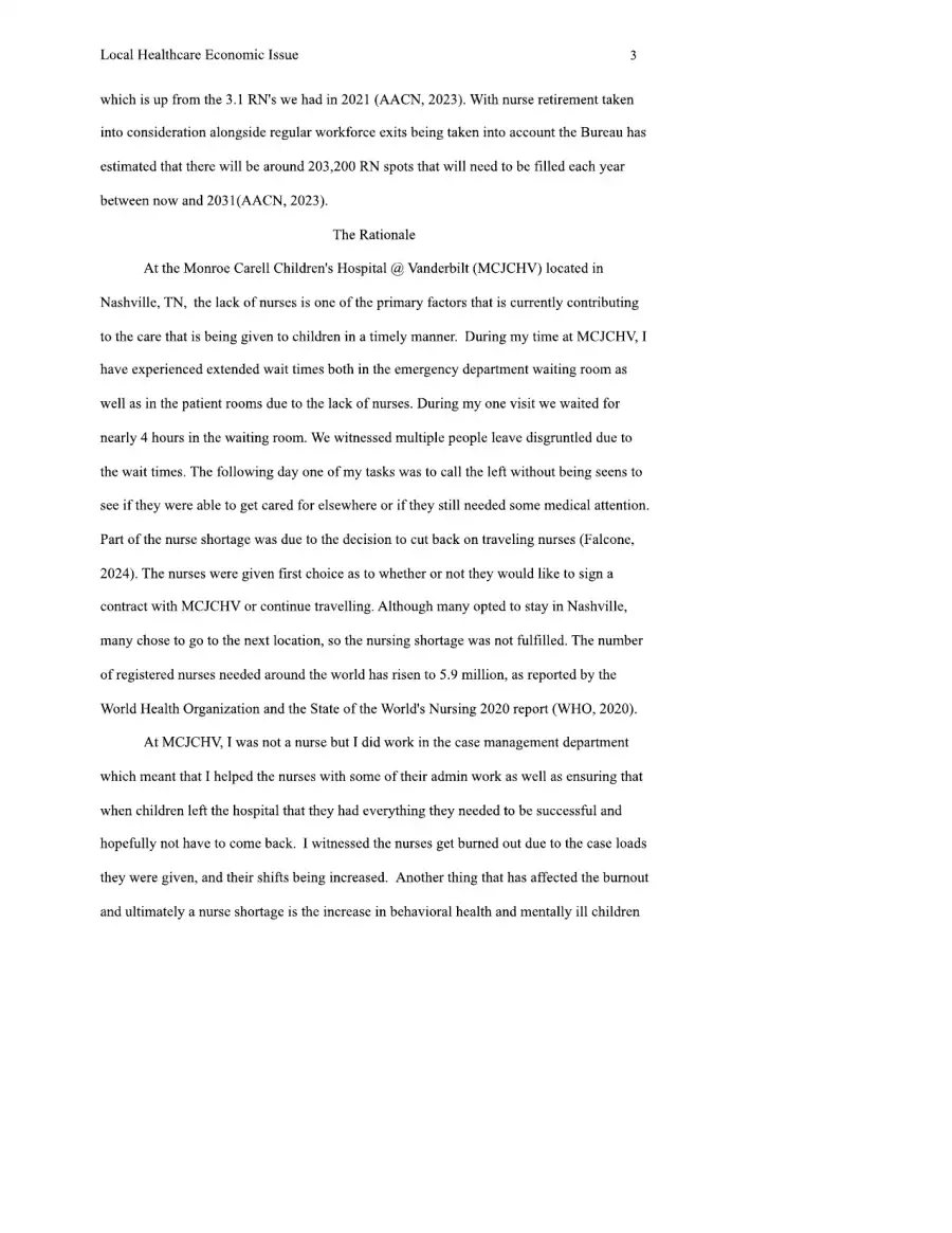 Identifying a Local Healthcare Economic Issue, page 3