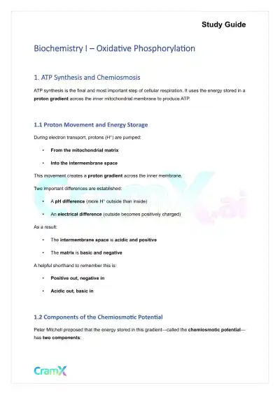 Biochemistry I - Oxidative Phosphorylation - Page 1 preview image