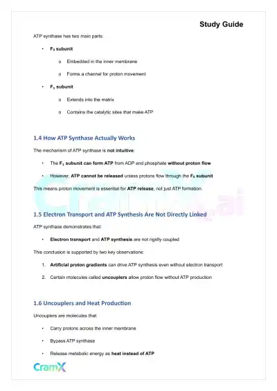 Biochemistry I - Oxidative Phosphorylation - Page 3 preview image