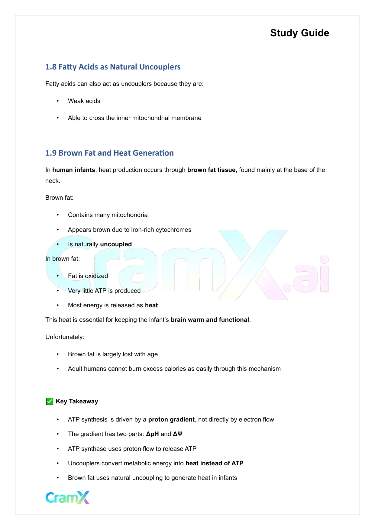 Biochemistry I - Oxidative Phosphorylation - Page 5 preview image