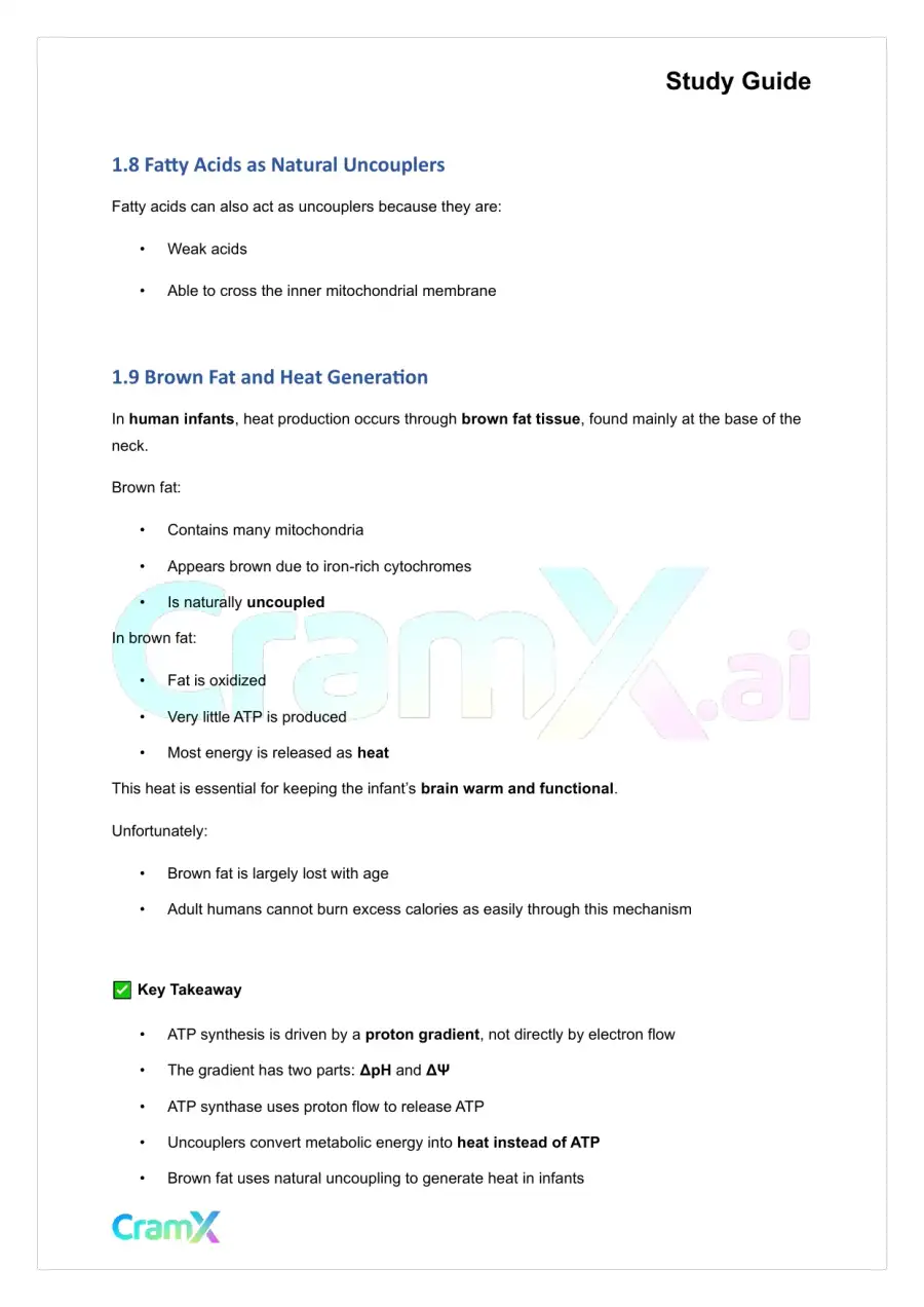 Biochemistry I - Oxidative Phosphorylation, page 5