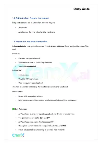 Biochemistry I - Oxidative Phosphorylation - Page 5 preview image