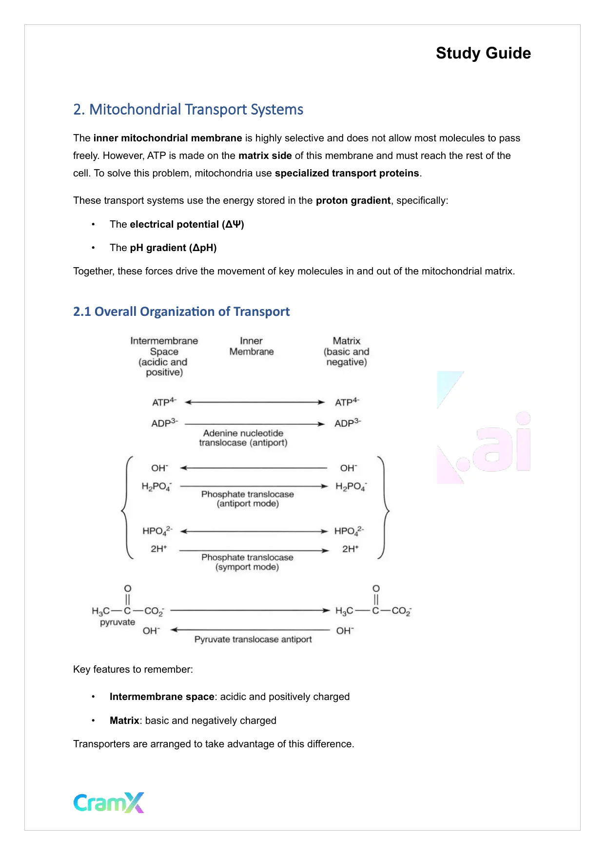 Biochemistry I - Oxidative Phosphorylation - Page 6 preview image