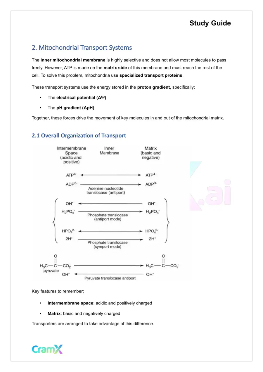 Biochemistry I - Oxidative Phosphorylation, page 6