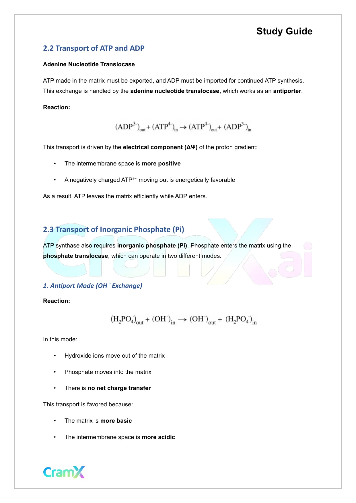 Biochemistry I - Oxidative Phosphorylation - Page 7 preview image