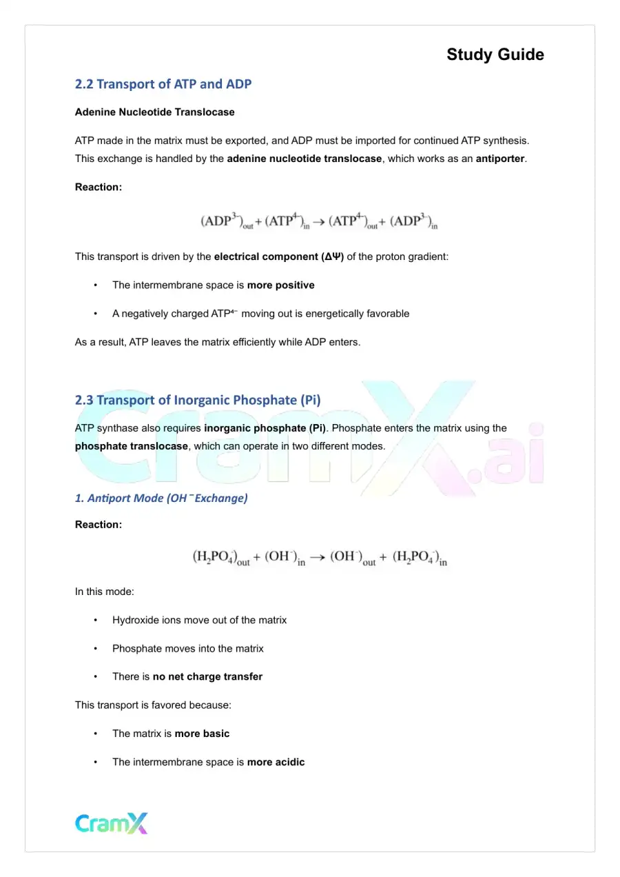 Biochemistry I - Oxidative Phosphorylation, page 7