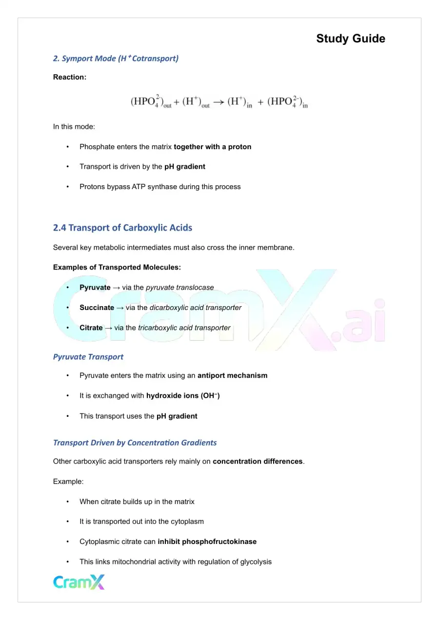 Biochemistry I - Oxidative Phosphorylation, page 8