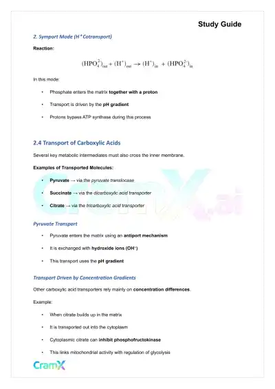 Biochemistry I - Oxidative Phosphorylation - Page 8 preview image