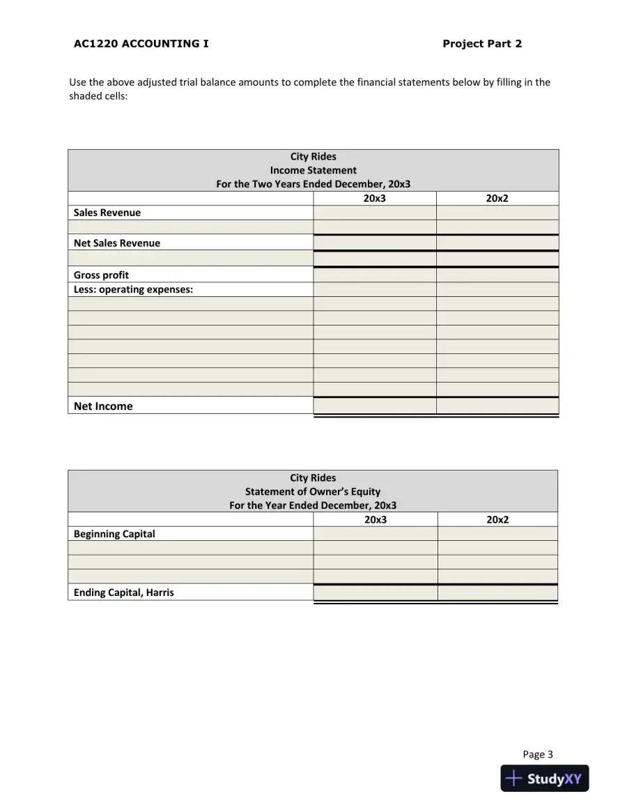 AC1200 ACCOUNTING I, page 4
