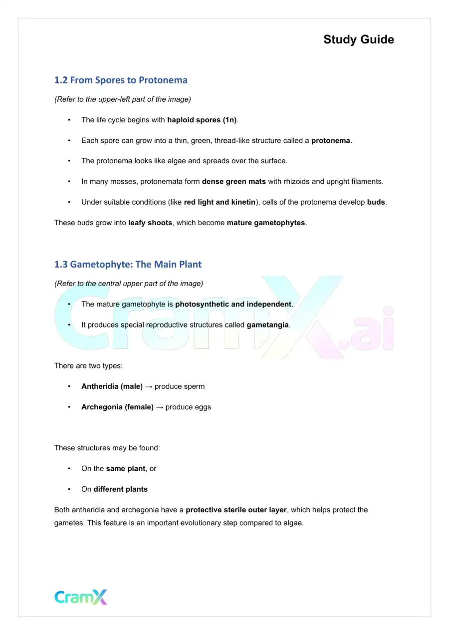 Plant Biology - Bryophytes—The Non‐Vascular Plants, page 2