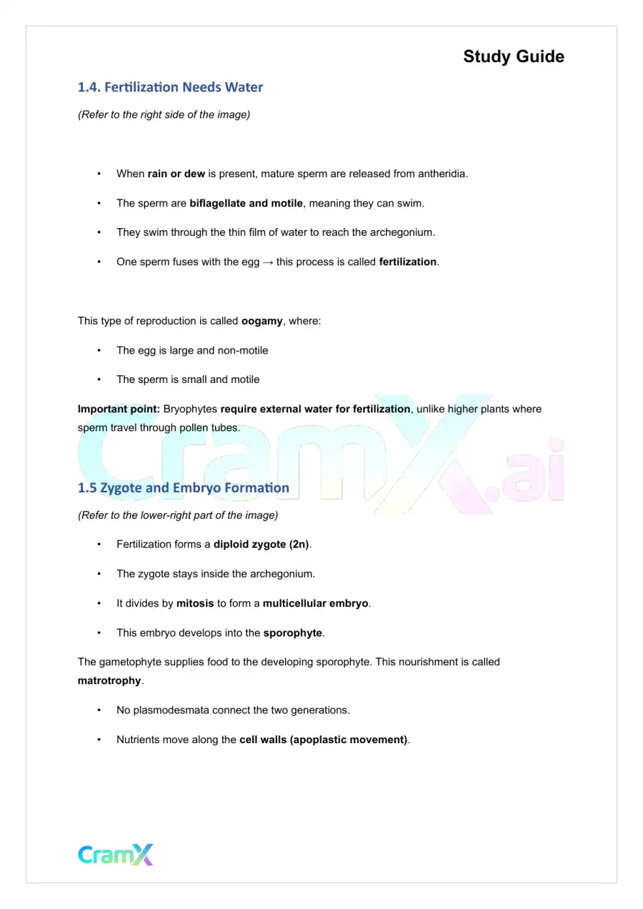 Plant Biology - Bryophytes—The Non‐Vascular Plants, page 3