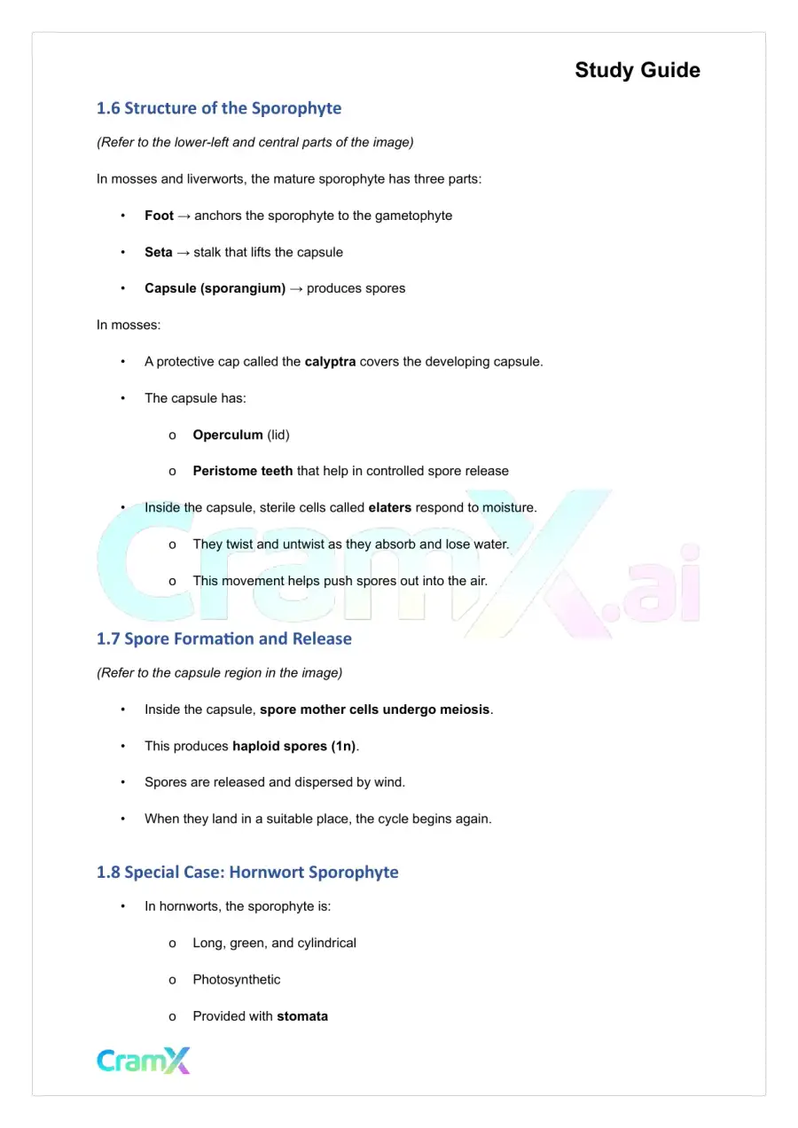 Plant Biology - Bryophytes—The Non‐Vascular Plants, page 4