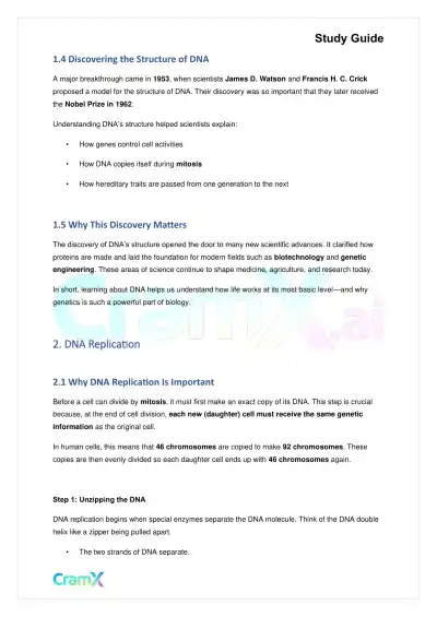 Biology - Gene Expression (Molecular Genetics) - Page 2 preview image