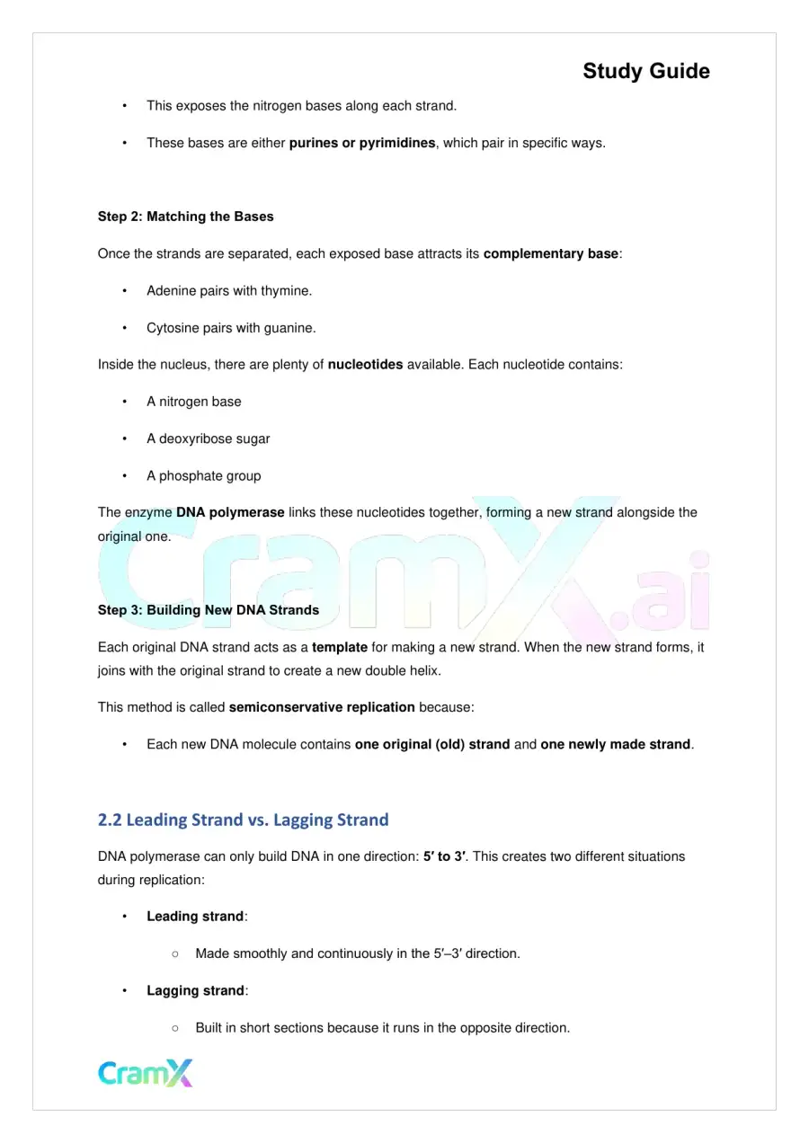 Biology - Gene Expression (Molecular Genetics), page 3