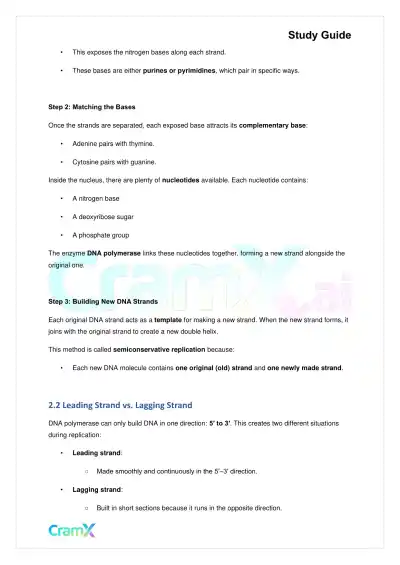 Biology - Gene Expression (Molecular Genetics) - Page 3 preview image