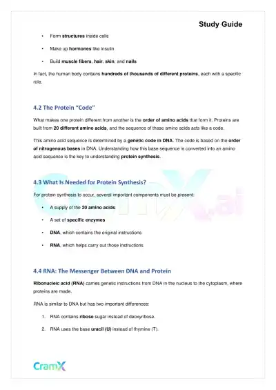 Biology - Gene Expression (Molecular Genetics) - Page 7 preview image