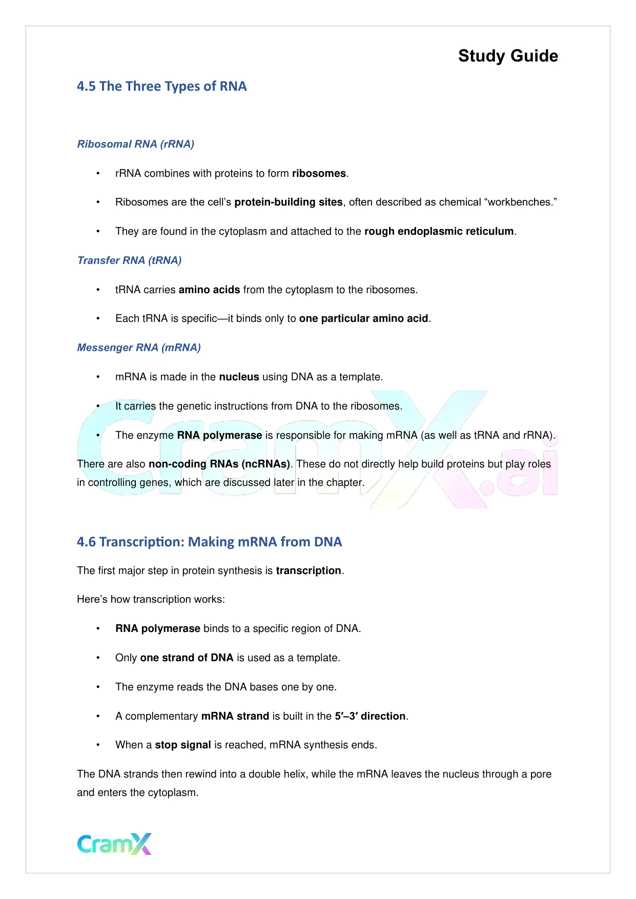 Biology - Gene Expression (Molecular Genetics) - Page 8 preview image